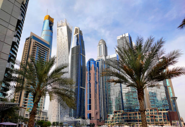 Modern high-rise buildings and palm trees in a typical real estate zone of Dubai showcasing the cityscape.