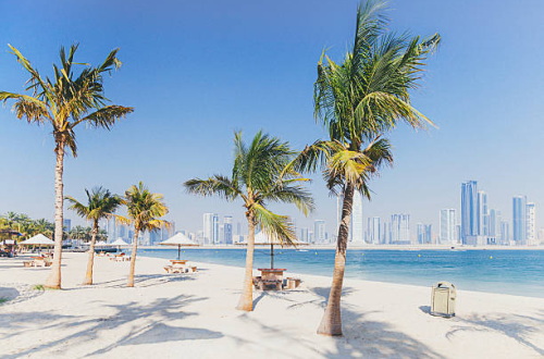 A sunny Dubai beach with palm trees and a city skyline in the background.