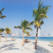 A sunny Dubai beach with palm trees and a city skyline in the background.