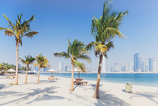 A sunny Dubai beach with palm trees and a city skyline in the background.